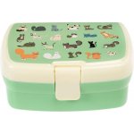 Rex London Dětský svačinový Bento box s příborem Nine Lives – Hledejceny.cz