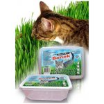 Super Benek Rychle rostoucí tráva 150 g – Sleviste.cz