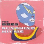Bees - Sunshine Hit Me Deluxe CD – Hledejceny.cz
