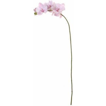 SHISHI Růžová orchidej 101 cm s drobnými květy