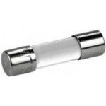 Eska Skleněná pojistka 5x20 mm F 8,00 A 1903 – Hledejceny.cz
