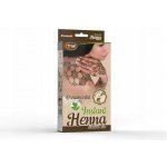 Tytoo Henna Ornamental – Sleviste.cz