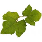 Novritsch LEAF CAMO 3D listy LC1, 50 ks Fern – Zboží Dáma