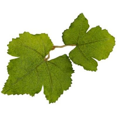 Novritsch LEAF CAMO 3D listy LC1, 50 ks Fern – Zboží Dáma