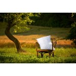 Ložnice21. Polštář Silver Origin bez zipu 260g 35x35 – Zboží Mobilmania