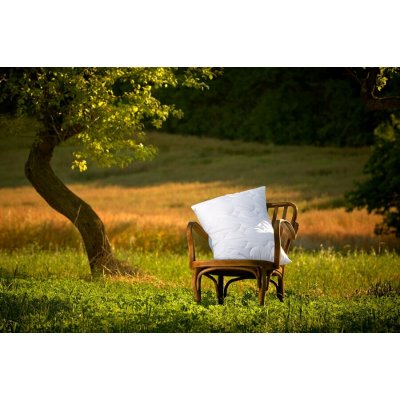 Ložnice21. Polštář Silver Origin bez zipu 260g 35x35 – Zboží Mobilmania