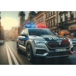 Pohlednice Policie auto – Zbozi.Blesk.cz