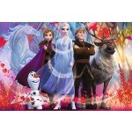 Trefl Ledové království II/Frozen II 60 x 40 cm v krabici 40 x 27 x 4 cm 260 dílků – Zbozi.Blesk.cz