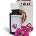 KALOBA POR GTT SOL 1X20ML – Hledejceny.cz