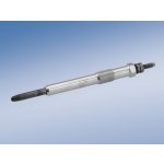 BOSCH Žhavicí svíčka 0250202048 – Hledejceny.cz