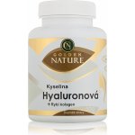 Golden Nature Kyselina Hyaluronová + Rybí kolagen + Vitamin C 100 kapslí – Hledejceny.cz