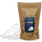 Protein a co L-Lysin 250 g – Hledejceny.cz