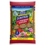 Forestina Standard Pokojové rostliny 5 l – Zboží Mobilmania