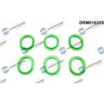 Sada těsnění, koleno sacího potrubí Dr.Motor Automotive DRM01631S | Zboží Auto