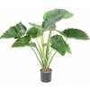 Květina Luxusní umělá květina ALOCASIA CALIDORA, 65cm