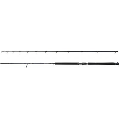 Savage Gear Defiance SG2 Shore Jigging 2,9 m 20-80 g 2 díly – Zboží Mobilmania