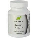 HCY Vitality Železo 100 tablet – Hledejceny.cz