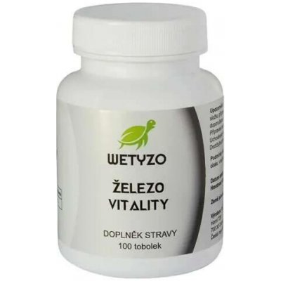 HCY Vitality Železo 100 tablet – Hledejceny.cz