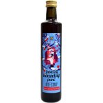 Sonnentor Jablečný kouzelný punč, sirup, BIO 0,5 l – Sleviste.cz
