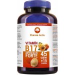 Pharma Activ Amygdalin Forte B17 45+15 kapslí – Hledejceny.cz