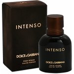 Dolce & Gabbana Intenso parfémovaná voda pánská 40 ml – Hledejceny.cz