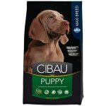 Cibau Dog Puppy Maxi 2,5 kg – Hledejceny.cz