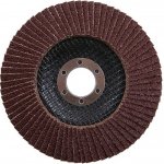 Levior Kotouč lamelový 125 mm P60 21787 – Hledejceny.cz