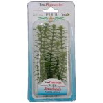 Tetra Anacharis 15 cm – Sleviste.cz