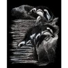 Škrábací  obrázek Royal & Langnickel Stříbrný škrabací obrázek Tučňáci