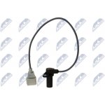NTY Čidlo Polohy Vačkové Hřídele Motorizace 3.3D-4.2D Audi A6(C5) A8(D2/D3) Q7 VW Touareg 1994-2010 (077905381G) – Hledejceny.cz
