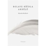 Bolavá křídla andělů – Hledejceny.cz