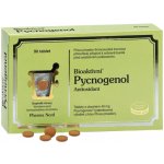 PHX Bioaktivní Pycnogenol 90 tablet – Hledejceny.cz