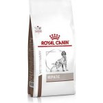 Royal Canin Veterinary Diet Dog Hepatic 7 kg – Zboží Mobilmania