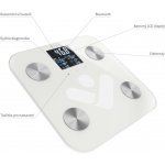 TrueLife FitScale W6 BT – Zbozi.Blesk.cz