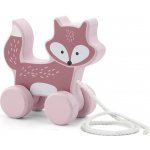 Viga tahačka liška – Sleviste.cz