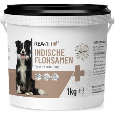 REAVET Indické psyllium semena 1 kg – Hledejceny.cz
