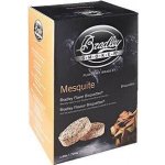 Bradley Smoker grilovací brikety mesquite 48 kusů – Hledejceny.cz