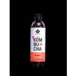 Puhdistamo Bio Kombucha broskev 400 ml – Zbozi.Blesk.cz