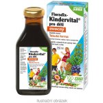 Salus Floradix Kindervital pro děti ovocný 250 ml – Hledejceny.cz