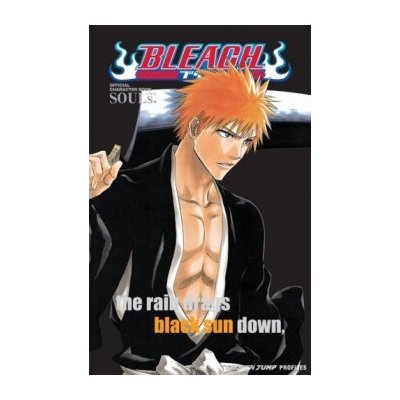 Bleach SOULs: Official Character Book - Tite Kubo