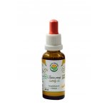 Salvia Paradise Ženšen pravý 6letý AF tinktura BIO 30 ml – Hledejceny.cz
