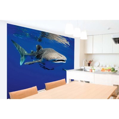 Dimex MA-5-0528 Samolepicí vliesová fototapeta na zeď Žralok obrovský rozměry 375 x 250 cm – Zboží Mobilmania