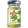 Džus Andros Shot Energy 55 ml