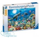 Ravensburger Podmořský svět 5000 dílků – Zbozi.Blesk.cz