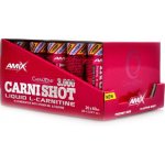 Amix CarniShot 3000 1200 ml – Zbozi.Blesk.cz