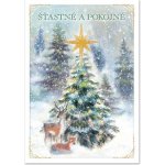 Ditipo Vánoční hrací blahopřání - Nádherná zář (O Holy Night), David Deyl - w901036 – Zboží Dáma