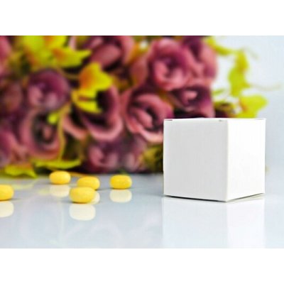 PartyDeco PartyDeco Krabičky - bílé 10 ks – Zboží Dáma