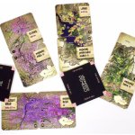 Albi Pexeso: Česká nej – Sleviste.cz