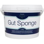 Protexin Gut Sponge pro koně 1,5 kg – Zboží Mobilmania