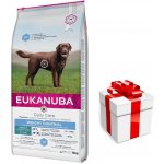 Eukanuba Adult Light Large Breed 15 kg – Hledejceny.cz